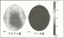 【発毛遠赤外線パフ】と同素材のマットレス